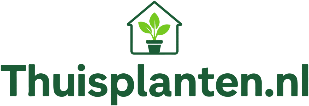 de case study thuisplanten.nl is een prachtig project voor NSA-Media